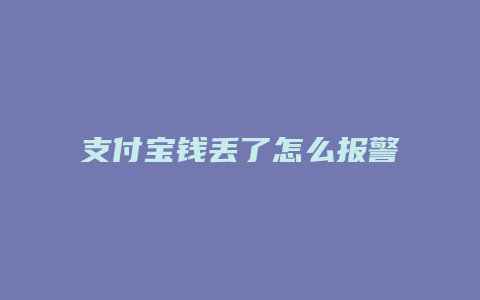 支付宝钱丢了怎么报警