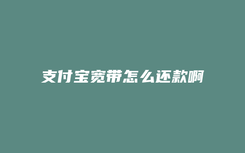 支付宝宽带怎么还款啊