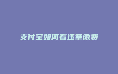 支付宝如何看违章缴费