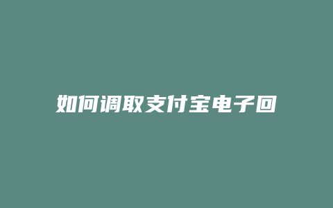 如何调取支付宝电子回单