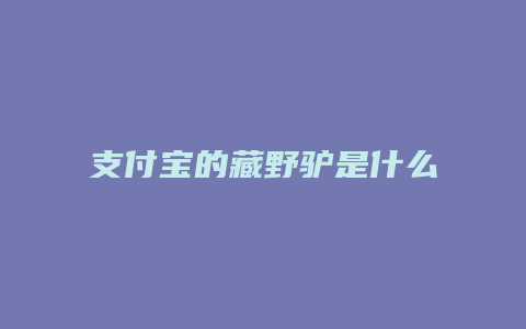 支付宝的藏野驴是什么