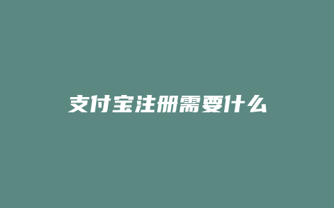 支付宝注册需要什么