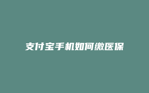 支付宝手机如何缴医保