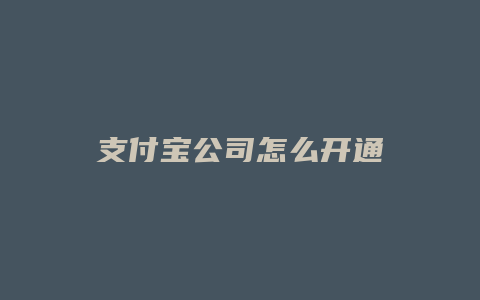 支付宝公司怎么开通