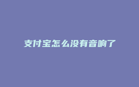 支付宝怎么没有音响了