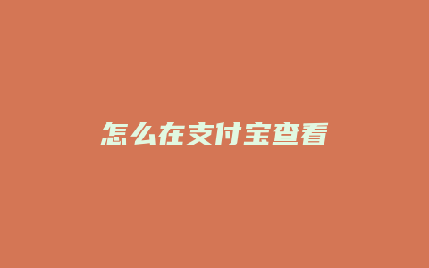 怎么在支付宝查看