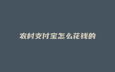 农村支付宝怎么花钱的