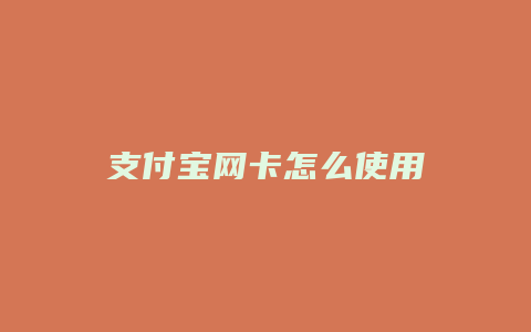 支付宝网卡怎么使用