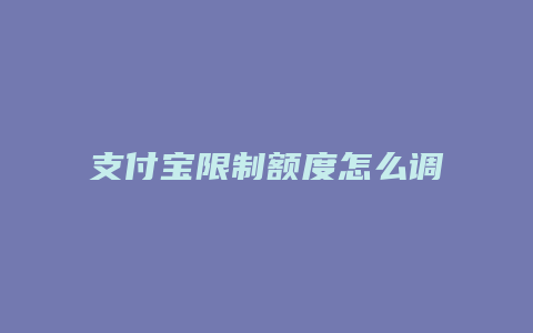 支付宝限制额度怎么调