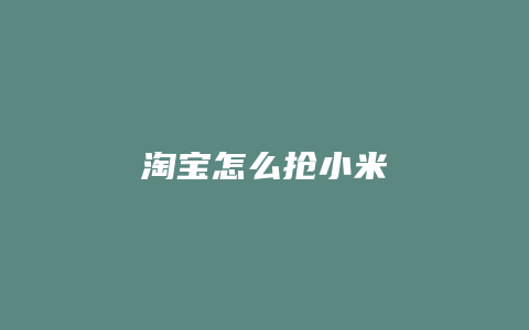 淘宝怎么抢小米