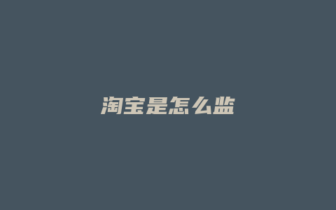 淘宝是怎么监