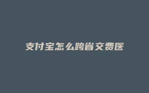 支付宝怎么跨省交费医保