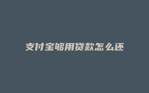 支付宝够用贷款怎么还