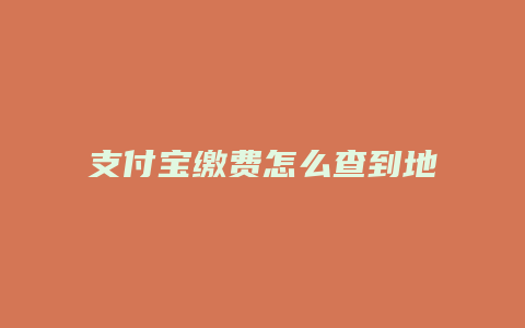 支付宝缴费怎么查到地址