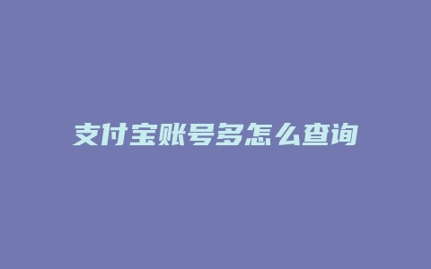 支付宝账号多怎么查询