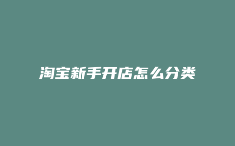 淘宝新手开店怎么分类的