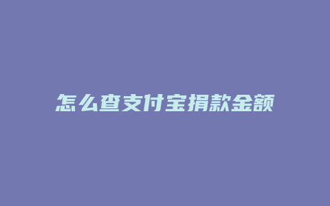 怎么查支付宝捐款金额