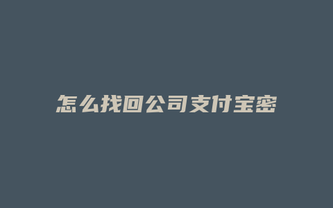 怎么找回公司支付宝密码