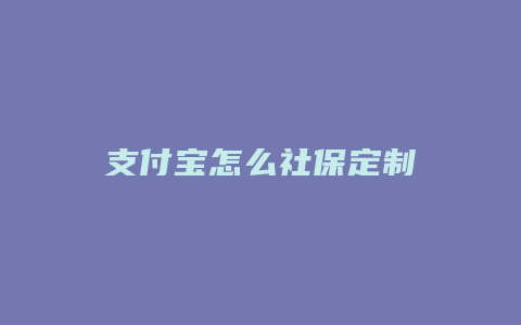 支付宝怎么社保定制