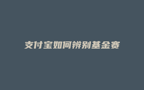 支付宝如何辨别基金赛道