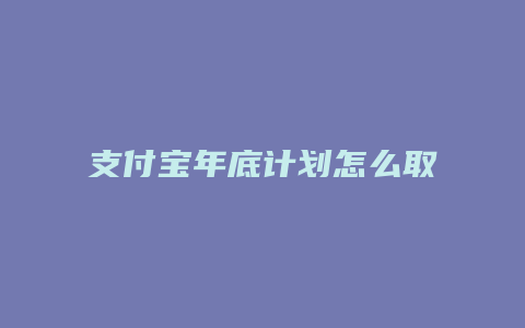 支付宝年底计划怎么取消