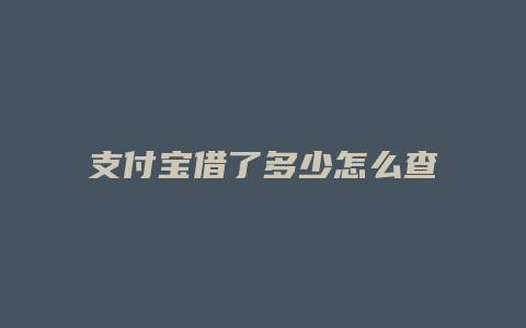 支付宝借了多少怎么查看