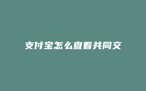 支付宝怎么查看共同交易