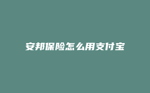 安邦保险怎么用支付宝