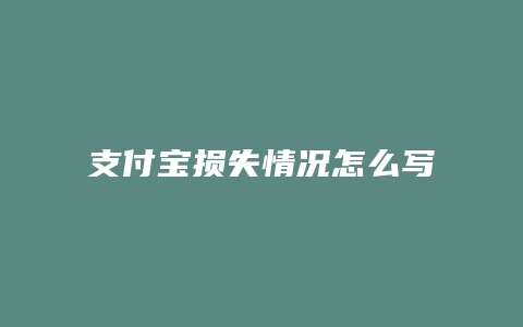 支付宝损失情况怎么写