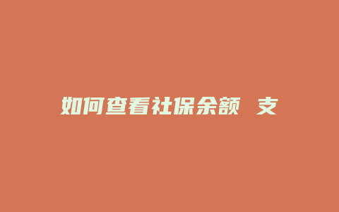 如何查看社保余额 支付宝