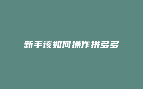 新手该如何操作拼多多开店