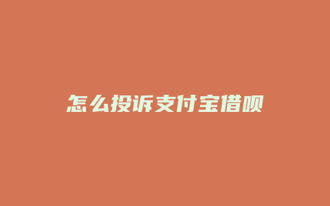 怎么投诉支付宝借呗