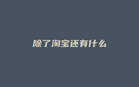 除了淘宝还有什么