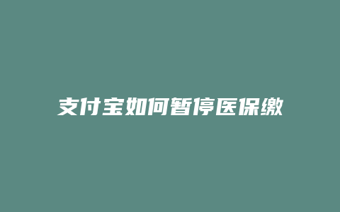 支付宝如何暂停医保缴费