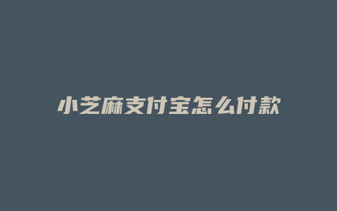 小芝麻支付宝怎么付款