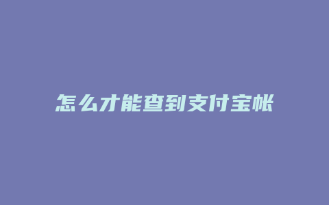 怎么才能查到支付宝帐号