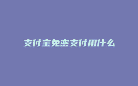 支付宝免密支付用什么付款