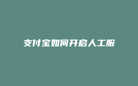 支付宝如何开启人工服务