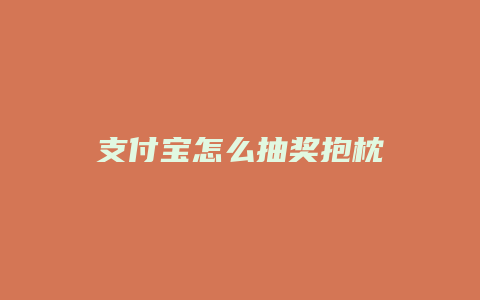 支付宝怎么抽奖抱枕