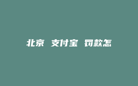 北京 支付宝 罚款怎么交