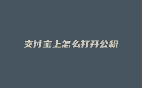 支付宝上怎么打开公积金