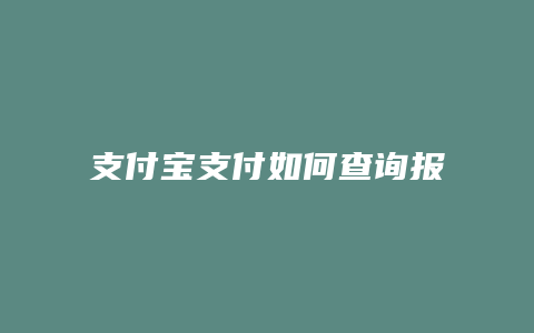 支付宝支付如何查询报告