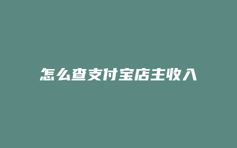 怎么查支付宝店主收入