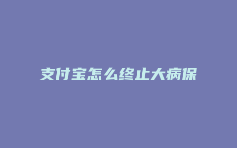 支付宝怎么终止大病保单