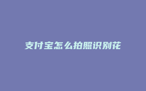 支付宝怎么拍照识别花名