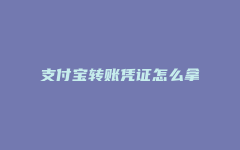 支付宝转账凭证怎么拿到