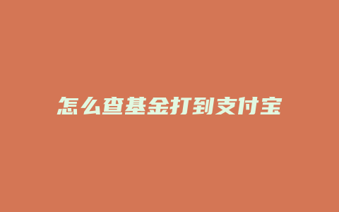 怎么查基金打到支付宝