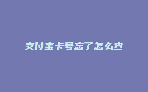 支付宝卡号忘了怎么查看