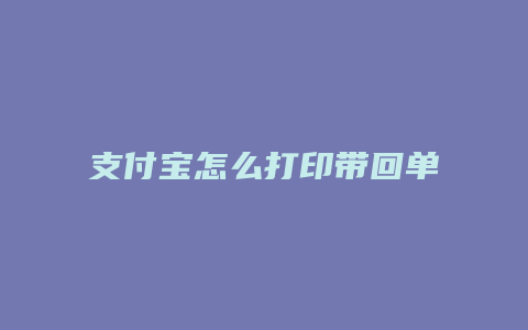 支付宝怎么打印带回单