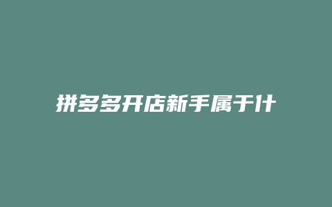 拼多多开店新手属于什么